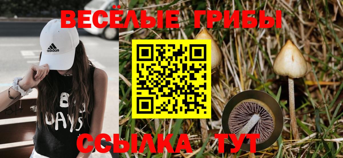 Галлюциногенные грибы Psilocybine cubensis Троицк